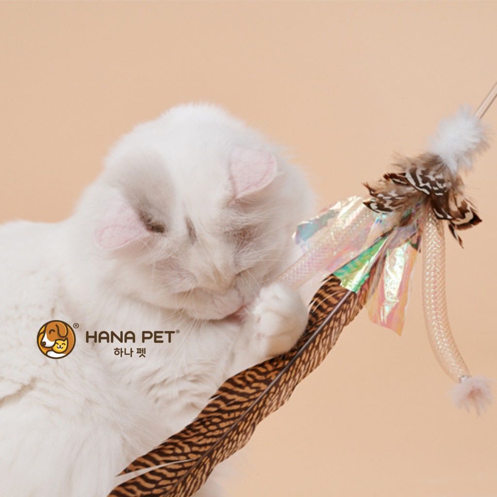 Hana Pet ไม้ตกแมวรุ่นไก่ฟ้าเพอร์ริออต ยาวกว่า 70 เซนติเมตร ทำจากขนนกธรรมชาติ ไม้ล่อแมว ของเล่นแมว