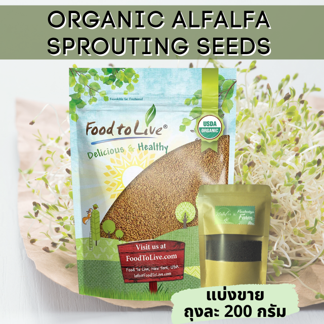 เมล็ดต้นอ่อนอัลฟัลฟ่าออร์แกนิค (Organic Alfalfa Sprouting Seeds)