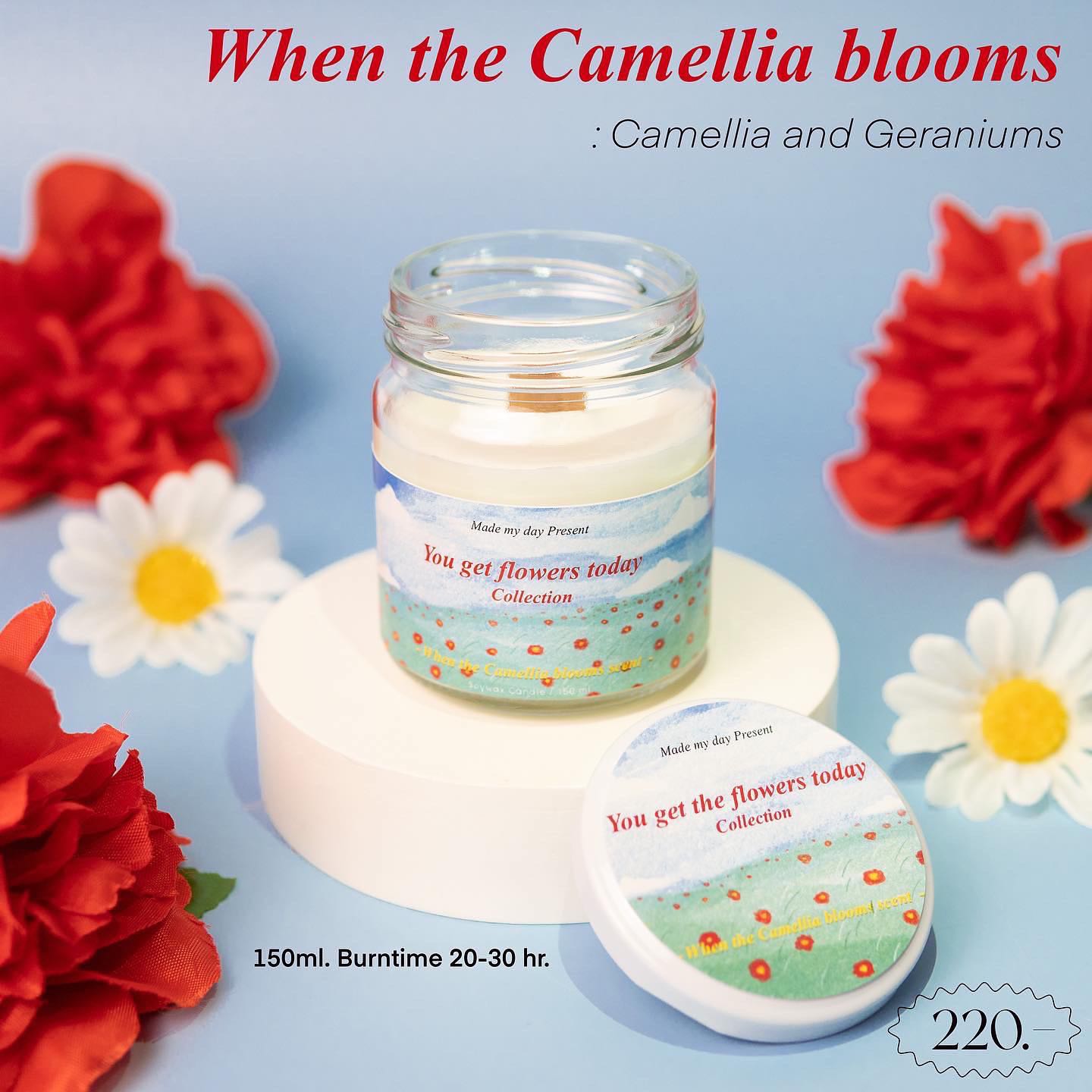 กลิ่น When the camellia blooms💐❤️ - Flowers Collection 