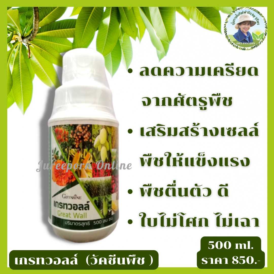 เกรทวอลล์ ธาตุซิลิกอน วัคซีนพืช พืชแข็งแรง ปลอดโรคพืช