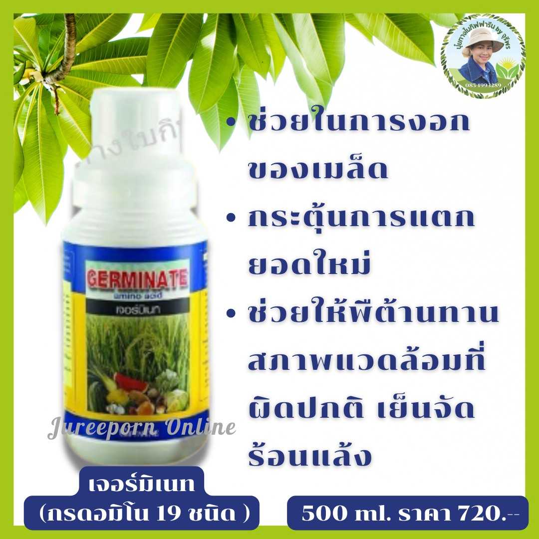 เจอร์มิเนท สารสกัดชีวภาพ 100%  เจอร์มิเนท : กรดอะมิโน19 ชนิด กระตุ้นการแตกราก แตกยอด แตกใบ 