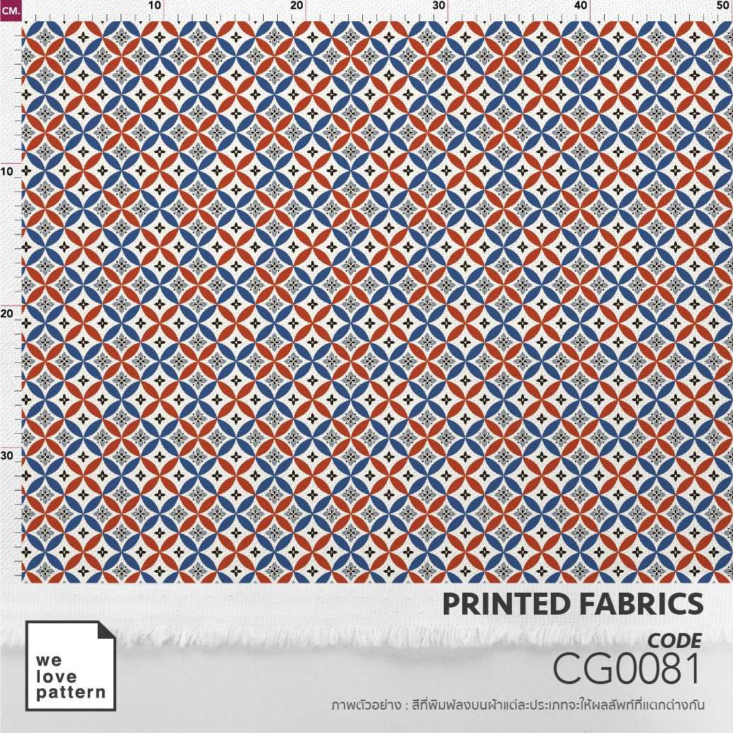 รหัสลาย : CG0081