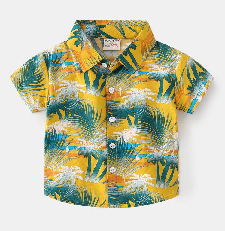 เสื้อเชิ้ตฮาวาย