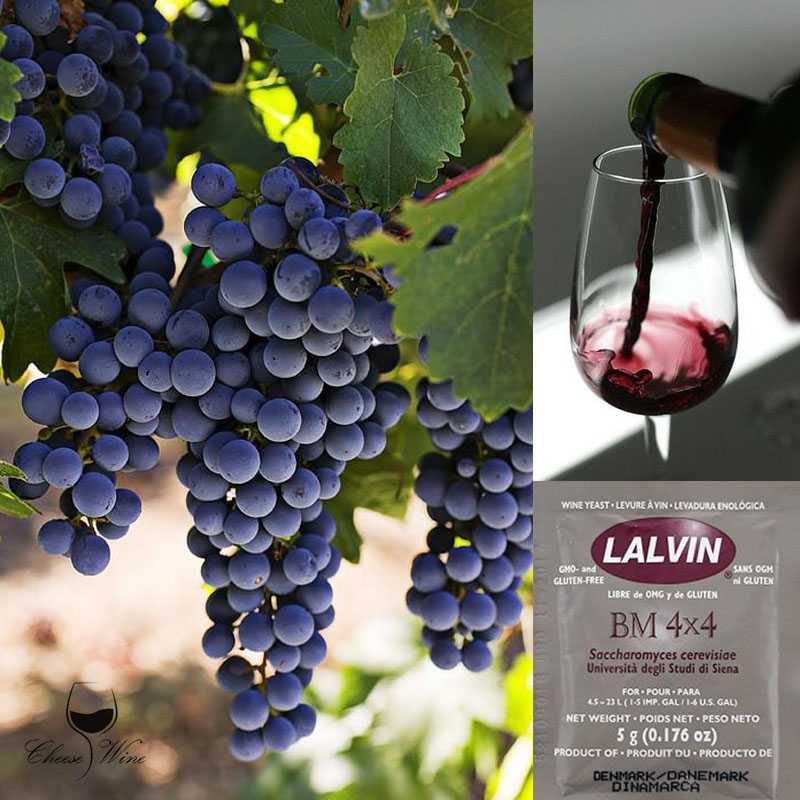 ยีสต์หมักไวน์ Lalvin BM 4x4 Yeast สำหรับไวน์แดง