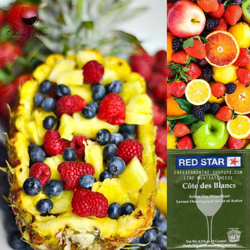 ยีสต์หมักไวน์ Red Star Côte des Blancs สีเขียว