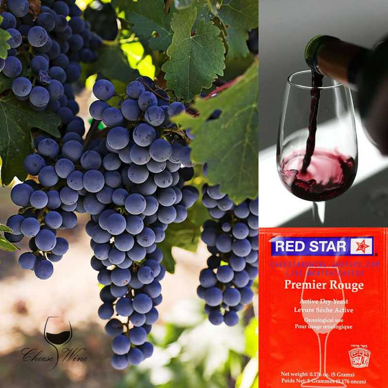 ยีสต์หมักไวน์ Red Star Pasteur Red® / Pasteur Rouge สีแดง