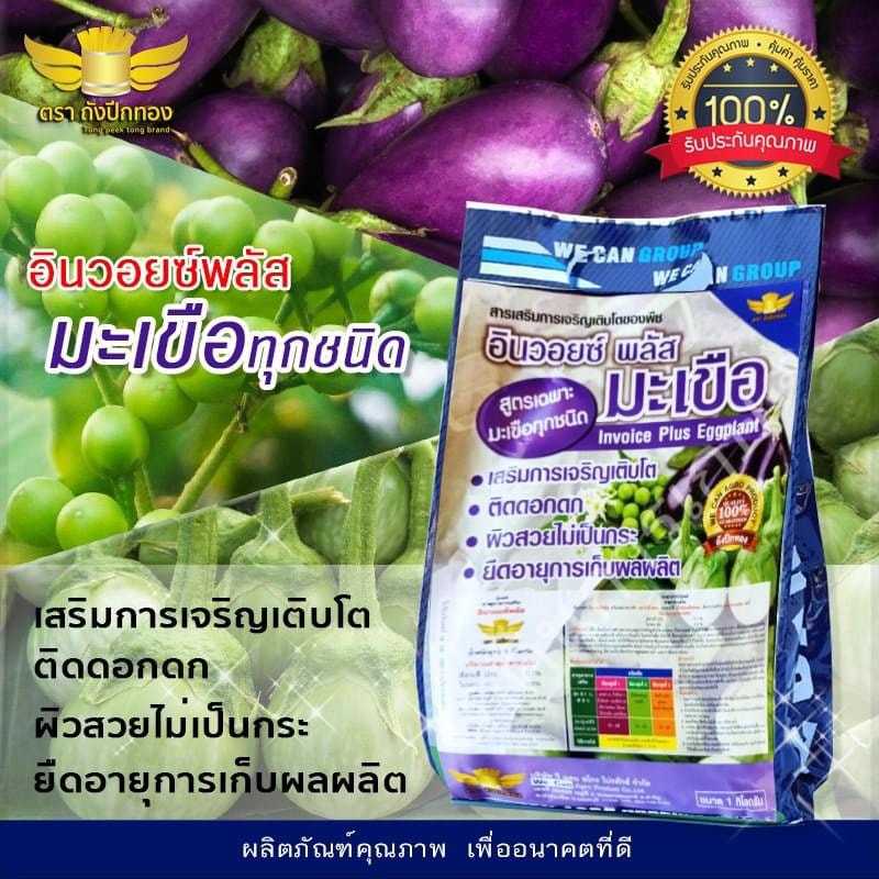 อินวอยซ์พลัส-มะเขือ 1 กก