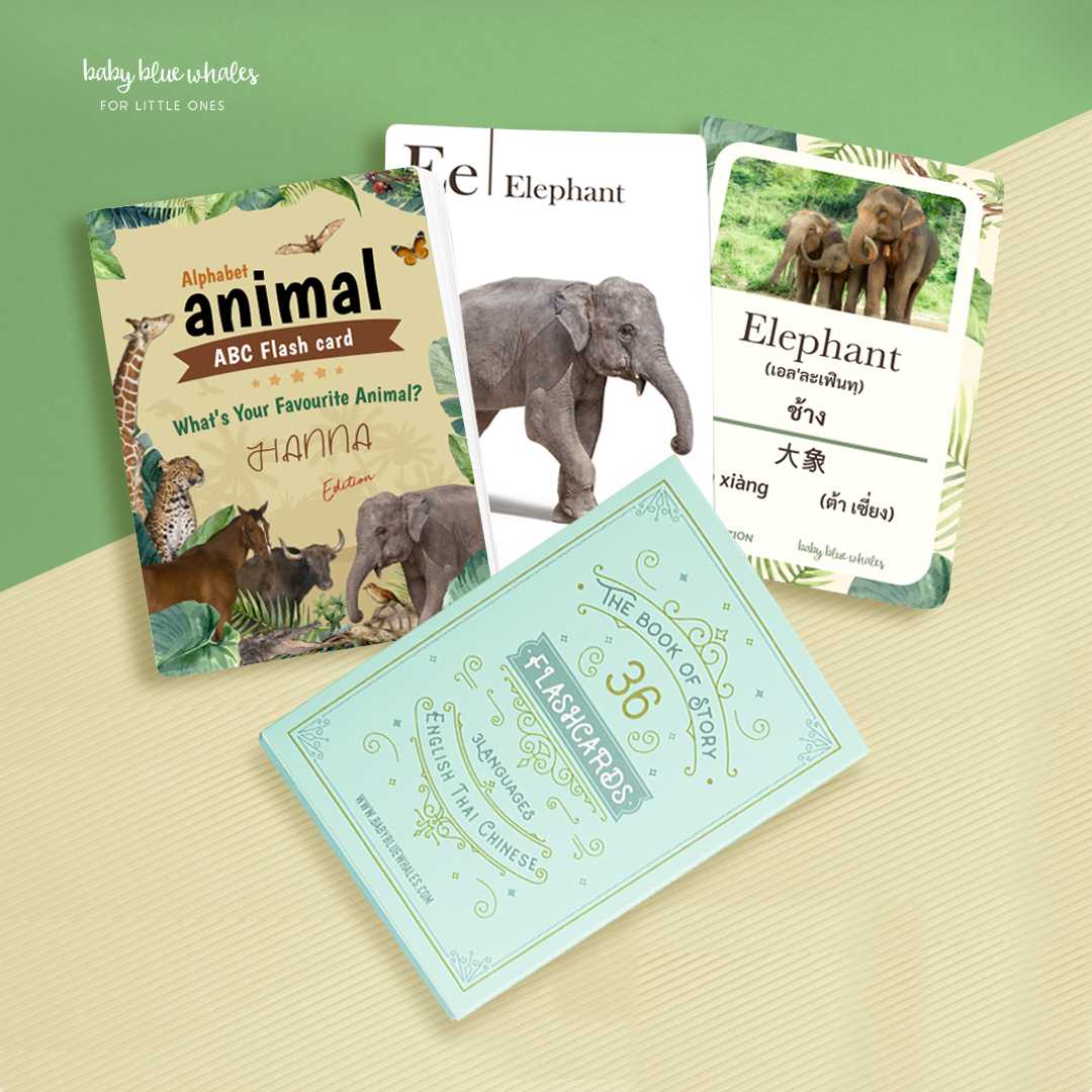 Animal Alphabet Flashcard