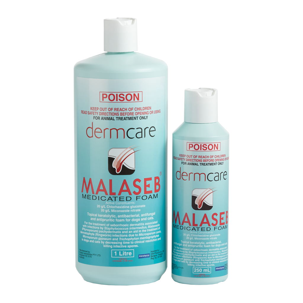 MALASEB SHAMPOO แชมพูมาลาเซป 250 และ 1000 มิลลิลิตร
