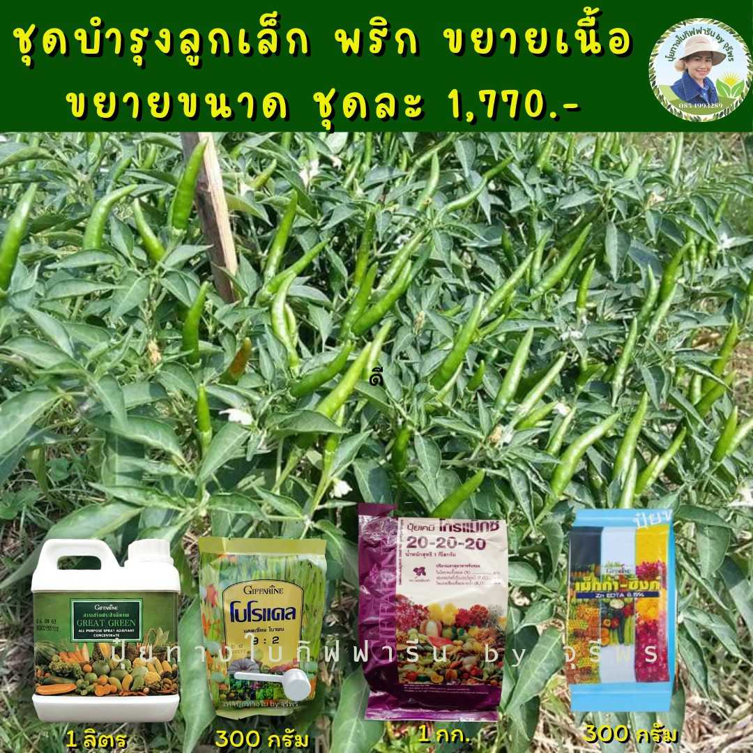 ปุ๋ยชุดขยายเม็ดพริก เร่งเต่งเร่งตึง เม็ดโตเร็ว