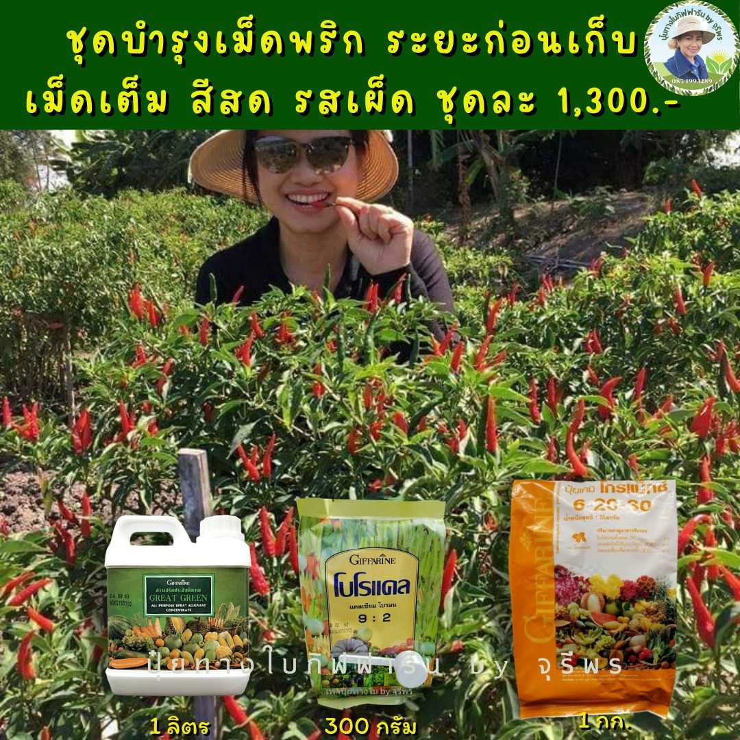 ปุ๋ยชุดบำรุงพริก ระยะก่อนเก็บ เพิ่มน้ำหนัก สีสด รสเผ็ด
