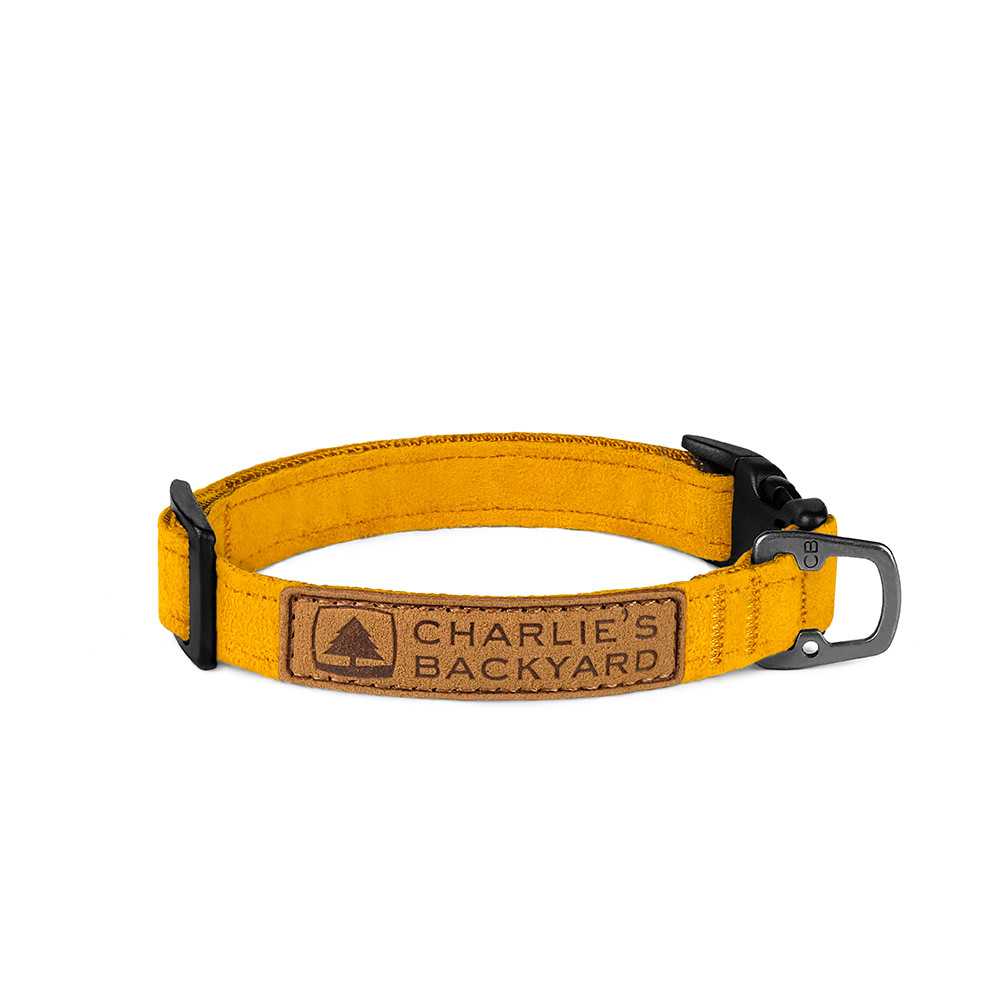 Charlie's Backyard Easy-COLLAR / YELLOW