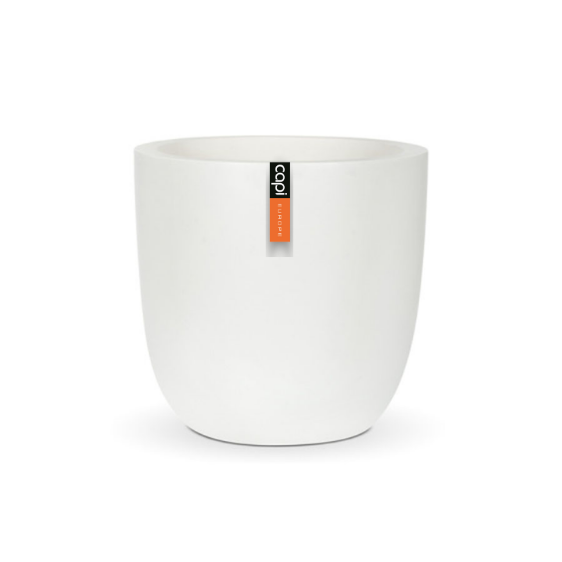 WFL 981  LUX  WHITE