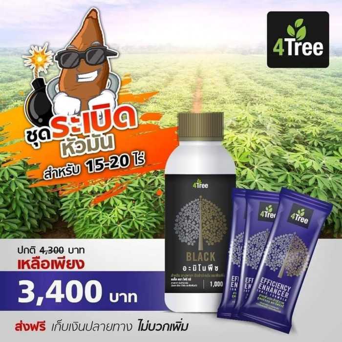 ชุดระเบิดหัวมัน