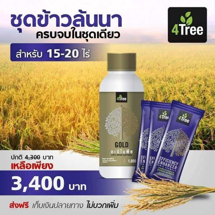 ชุดข้าวทะลักล้นนา