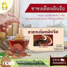 ชาชงเห็ดหลินจือ กิฟฟารีน สมุนไพรเพื่อสุขภาพ เบาหวาน ความดัน บำรุงไต