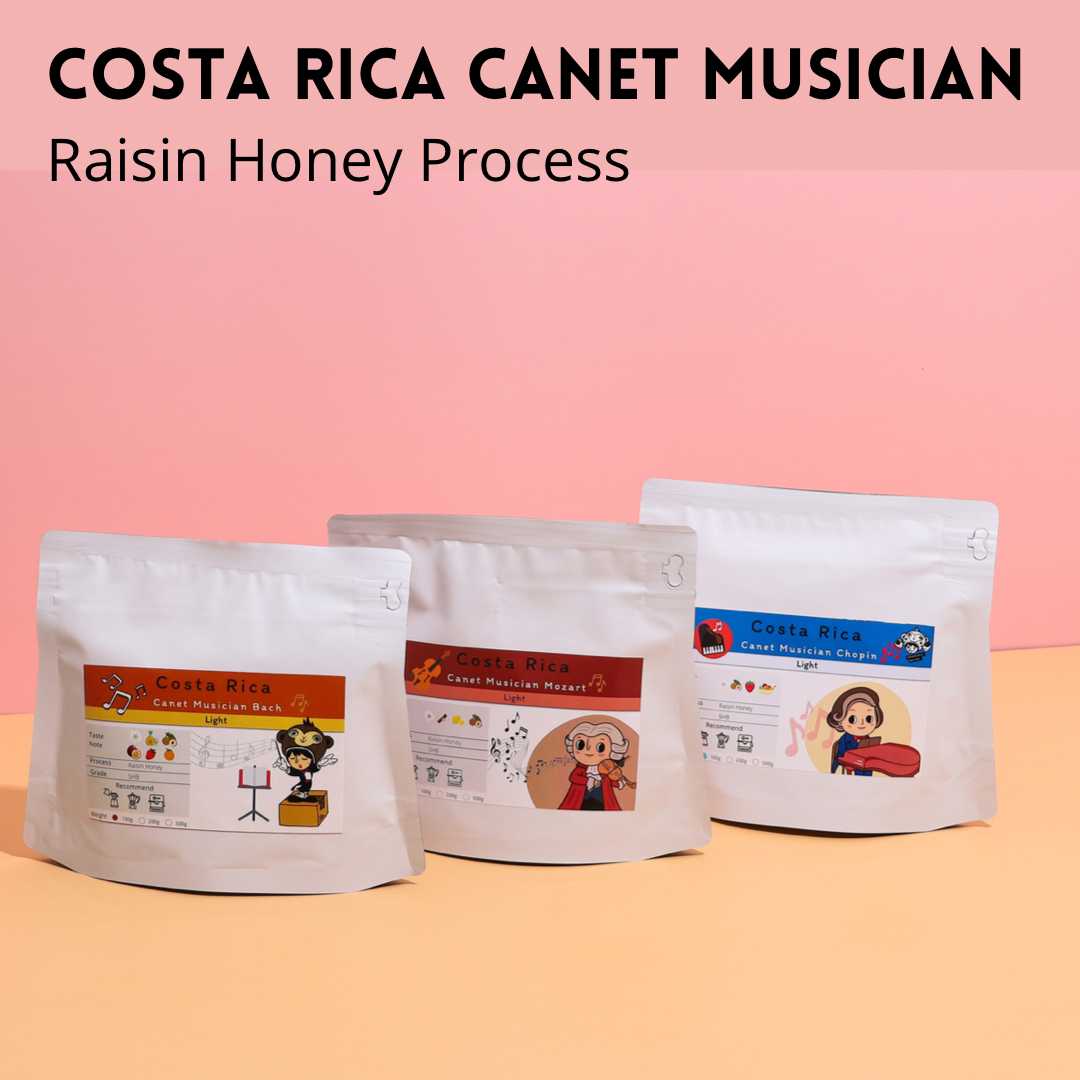 Costa Rica Musician Raisin Process