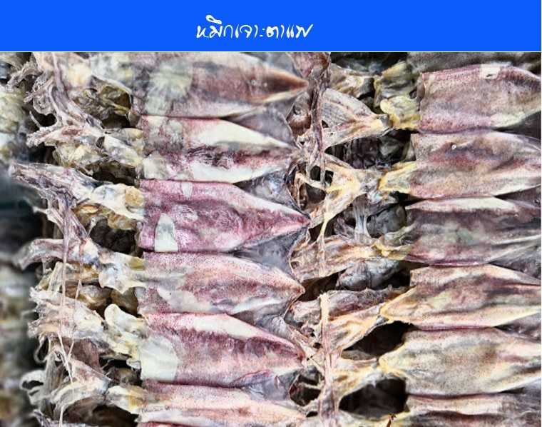 หมึกเจาะตาแพ(500กรัม)