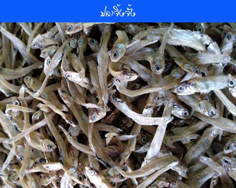 ปลาไส้ตัน(500กรัม)
