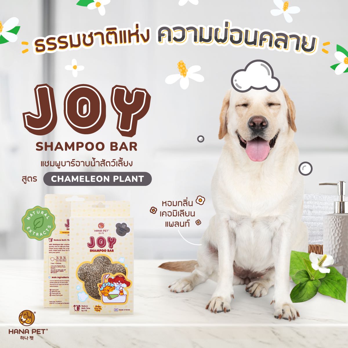 แชมพูบาร์อาบน้ำ ออร์แกนิค [กลิ่น Chameleon Plant] สำหรับสุนัข/แมว หอมธรรมชาติ 100% Made in Korea