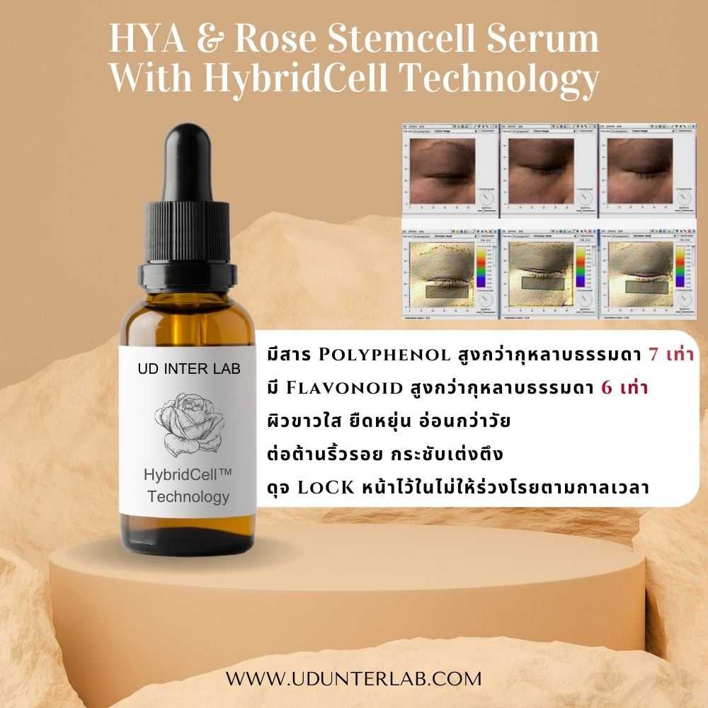 Hya & Rose StemceII Serum  เซรั่มสเต็มเซลล์กุหลาบ