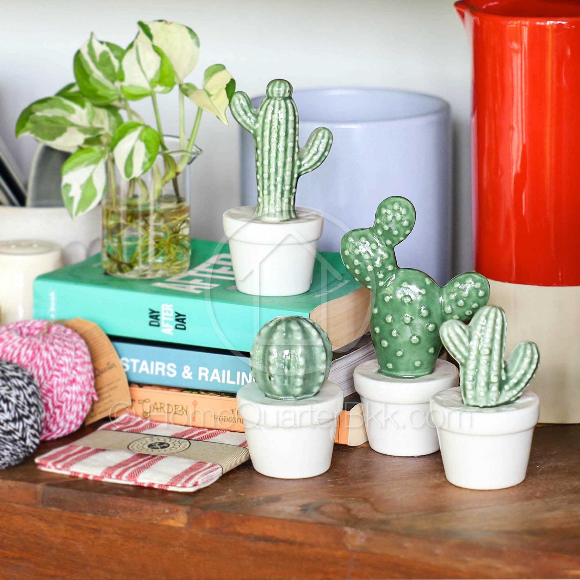 แคคตัส เซรามิค ขนาดเล็ก | Ceramic Cactus-S