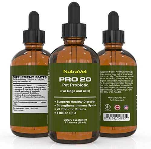 Pro20
