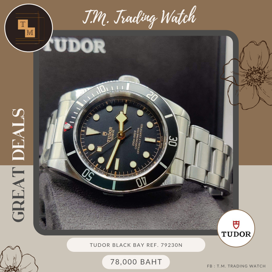 Tudor Black Bay