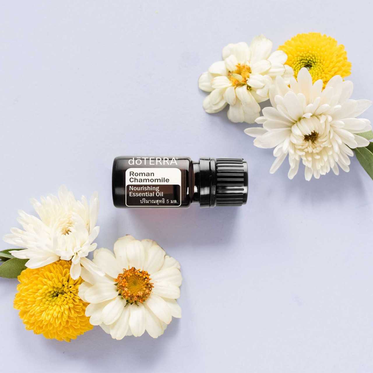 dōTERRA Roman Chamomile โรมัน คาโมมายล์ นอริชชิ่ง เอสเซนเชียล ออยล์
