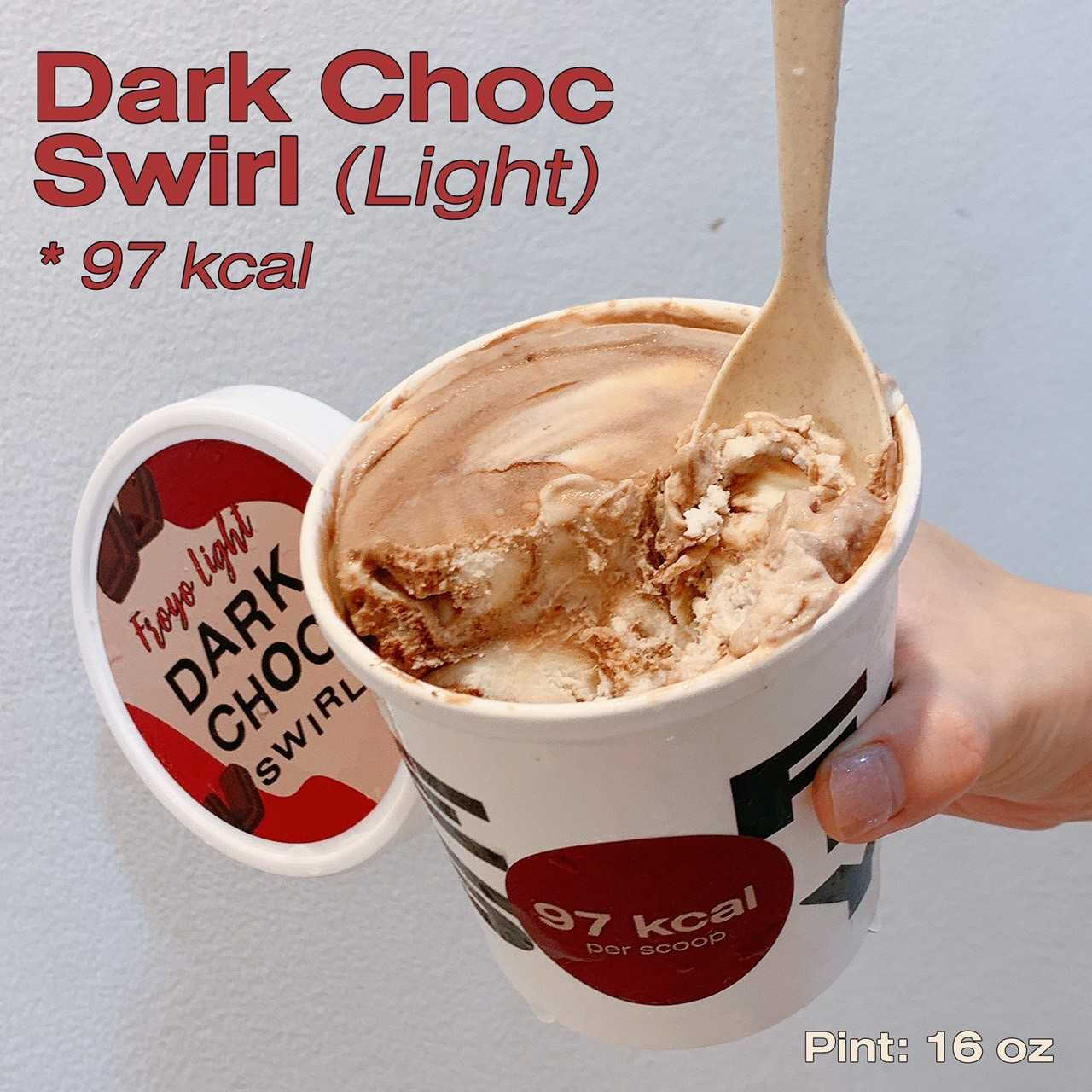 Dark Chocolate Swirl (Pint) - Light Froyo