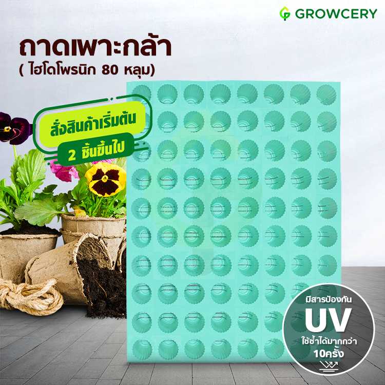 (สั่งขั้นต่ำ 2 ใบ) ถาดเพาะกล้าไฮโดรโปนิกส์ ถาดเพาะชำ จำนวน 80 หลุม  จัดจำหน่ายโดย FARMiiLY