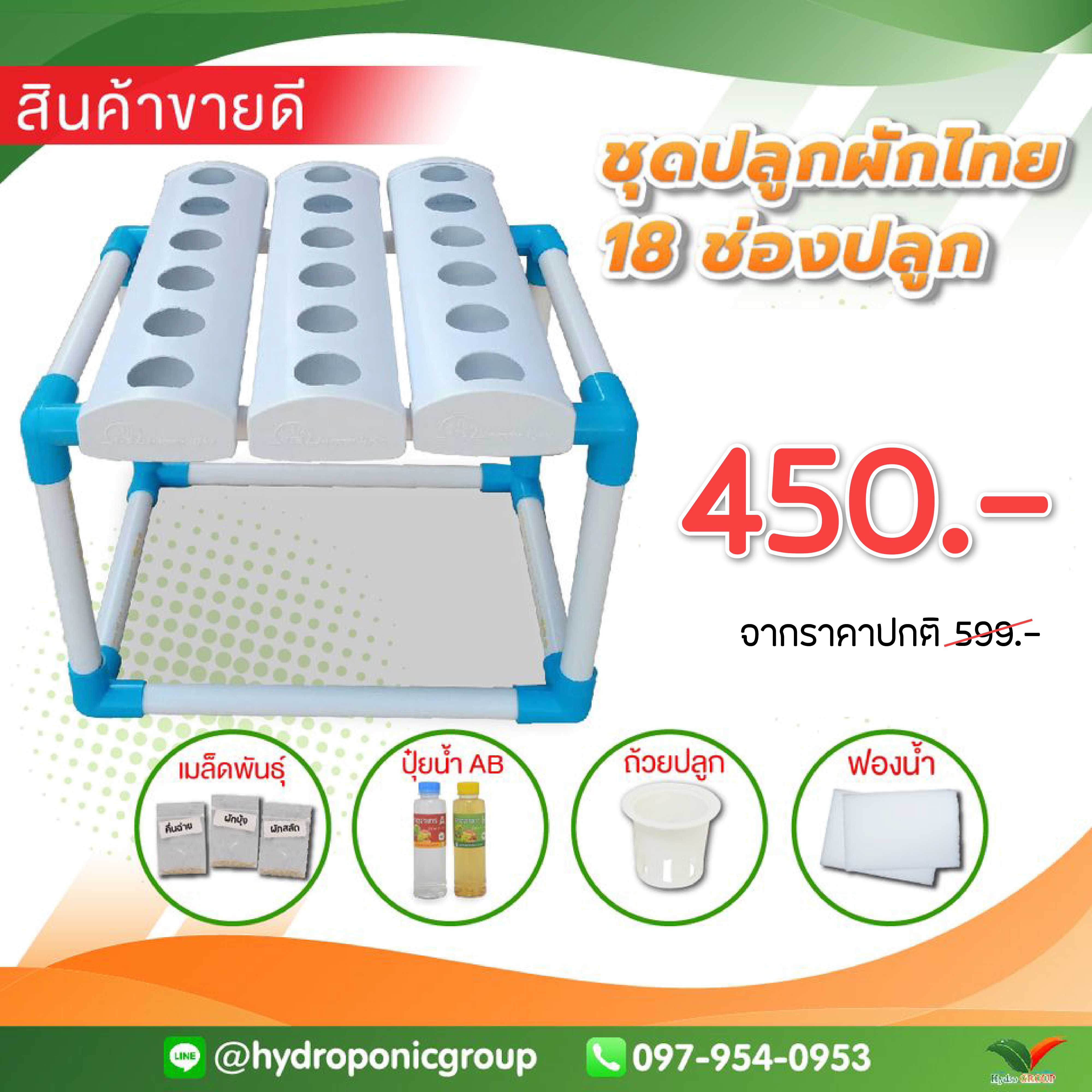 ชุดปลูกผัก น้ำนิ่ง 18 ช่องปลูก (ชุดปลูกผักไทยทรงสูง) #ปลูกผักสลัด #ปลูกผัก #Hydroponic