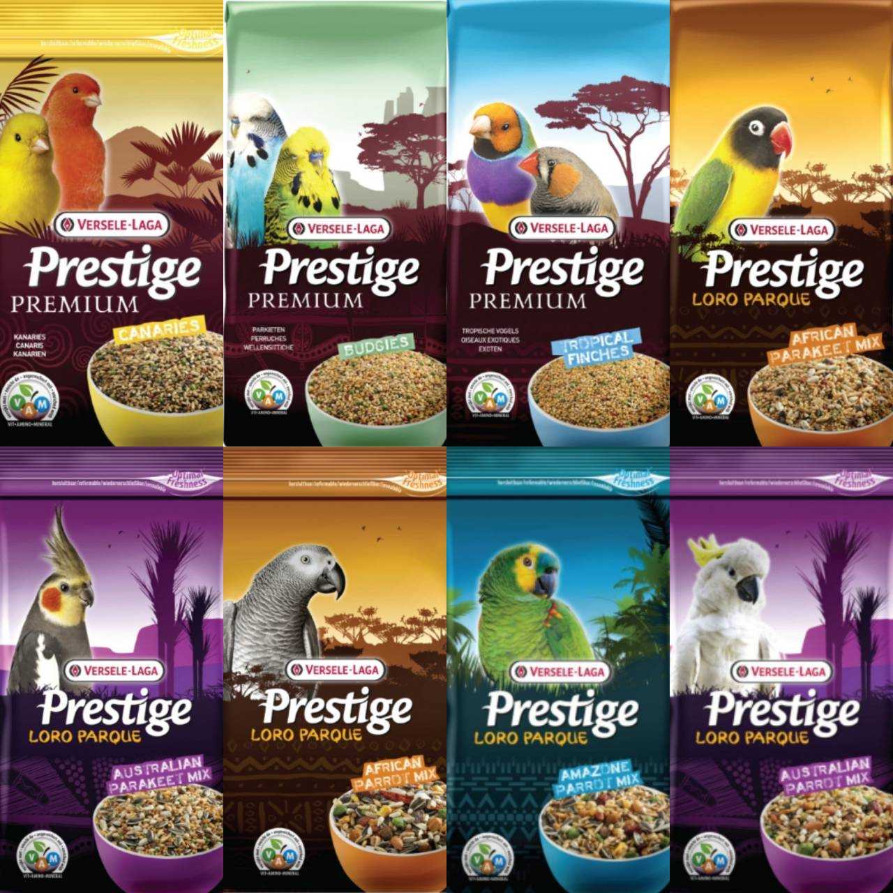 An Image