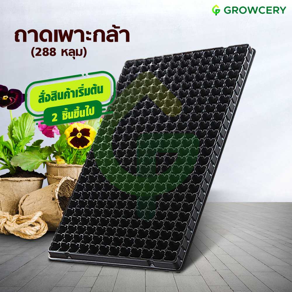 (สั่งขั้นต่ำ 2 ใบ) ถาดเพาะกล้า ถาดหลุม ถาดเพาะ จำนวน 288 หลุม (หนา 1 มม.)  จัดจำหน่ายโดย FARMiiLY