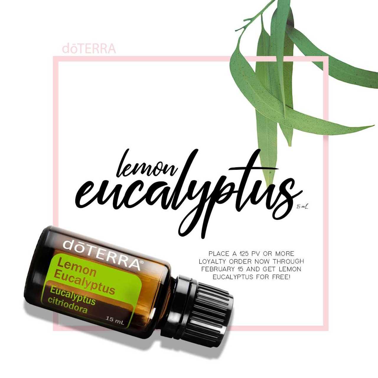 dōTERRA Eucalyptus ยูคาลิปตัส เอสเซนเชียล ออยล์