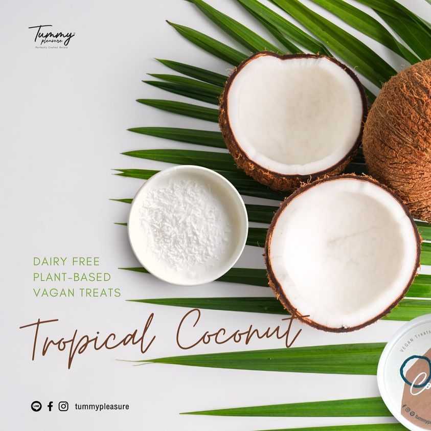 Tropical Coconut : ไม่มีนมวัว