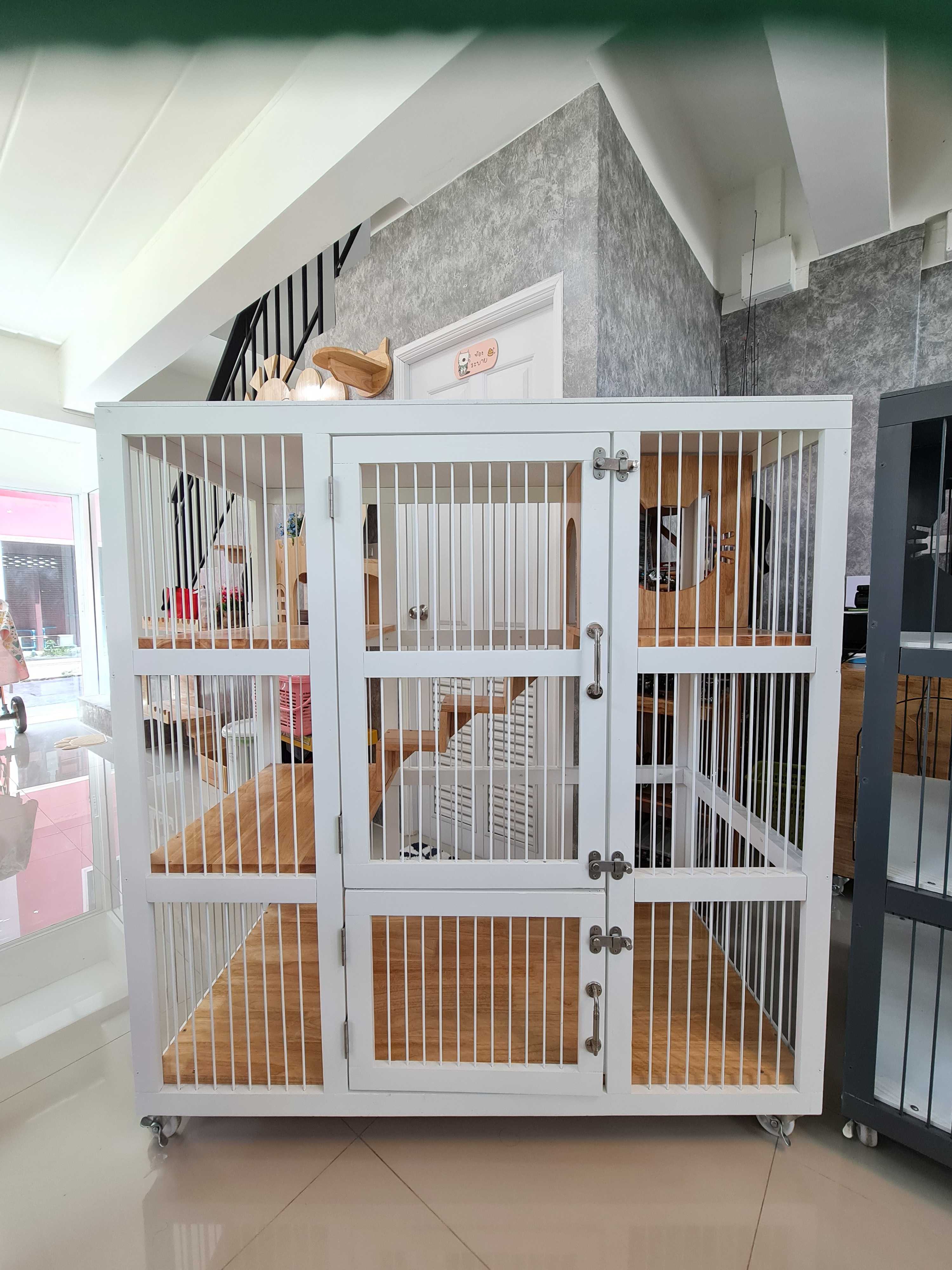 กรงแมว - ทั่วไป 0002