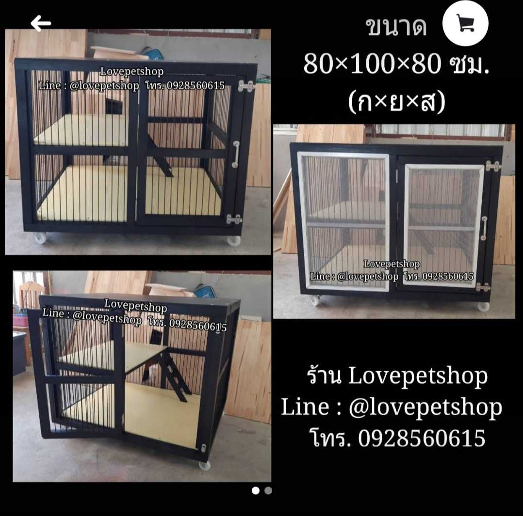 กรงแมว - ทั่วไป 0030