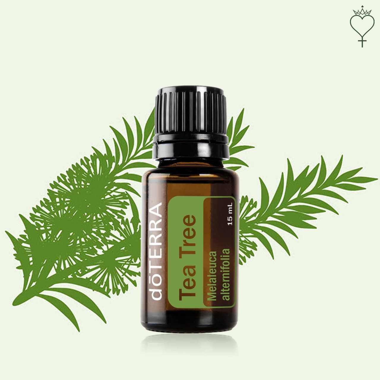doTERRA TEA TREE ที ทรี​ เอสเซนเชียล ออยล์