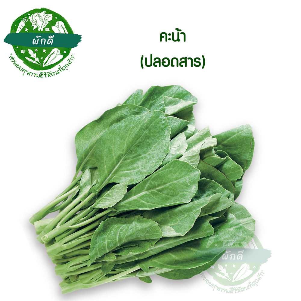 คะน้าต้น ปลอดสาร 250 กรัม