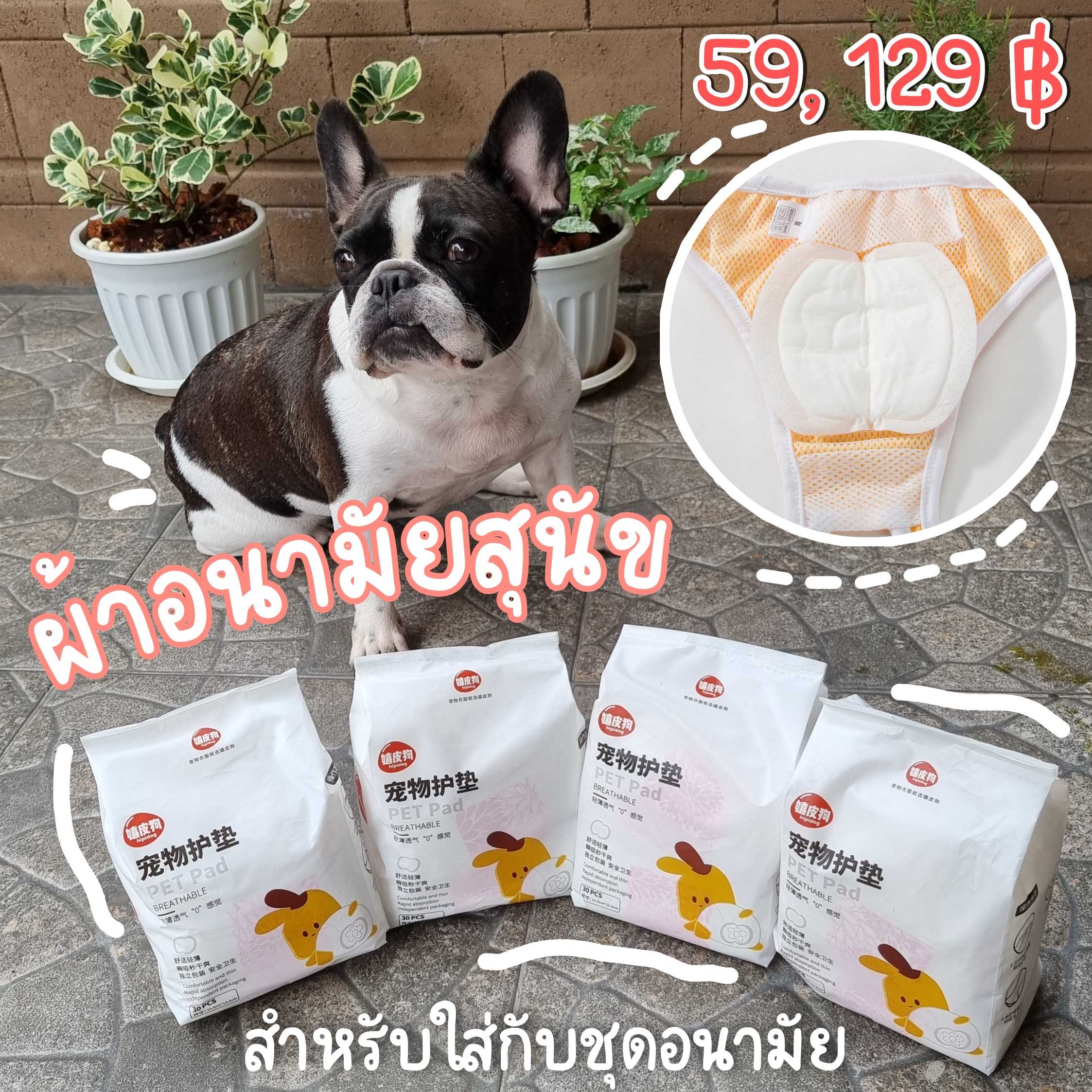 ผ้าอนามัยสุนัข ใช้คู่กับชุดอนามัยสุนัข ซึมซับดี ไม่ระคายเคือง