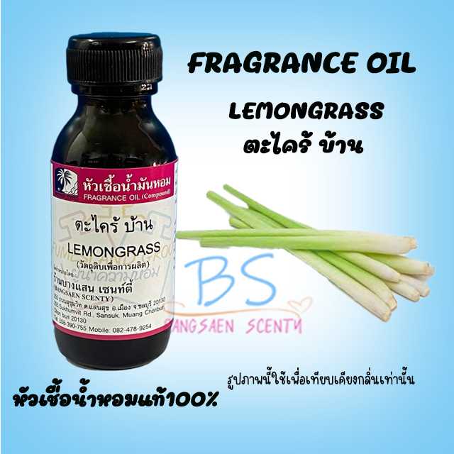 ตะไคร้ บ้าน LEMONGRASS