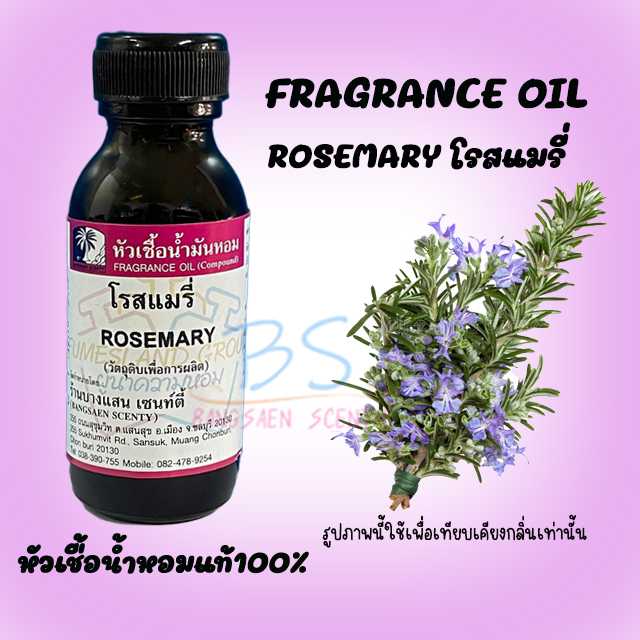 โรสแมรี่  ROSEMARY