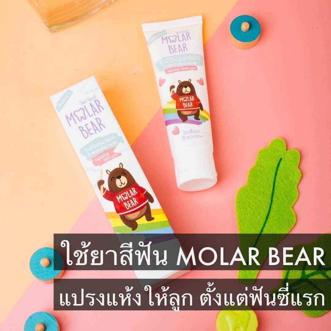 ยาสีฟัน และ แปรงสีฟัน Molar ​bear​ / Magaru