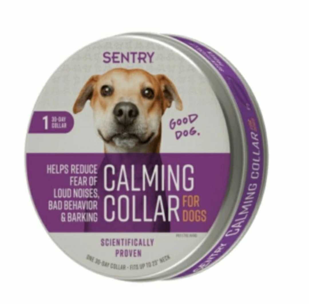 Sentry for Dog
