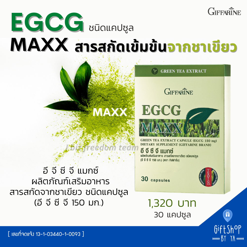 อีจีซีจี (EGCG) สารสกัดจากชาเขียว ตัวช่วยการเผาผลาญ ลดไขมัน ควบคุมน้ำหนัก