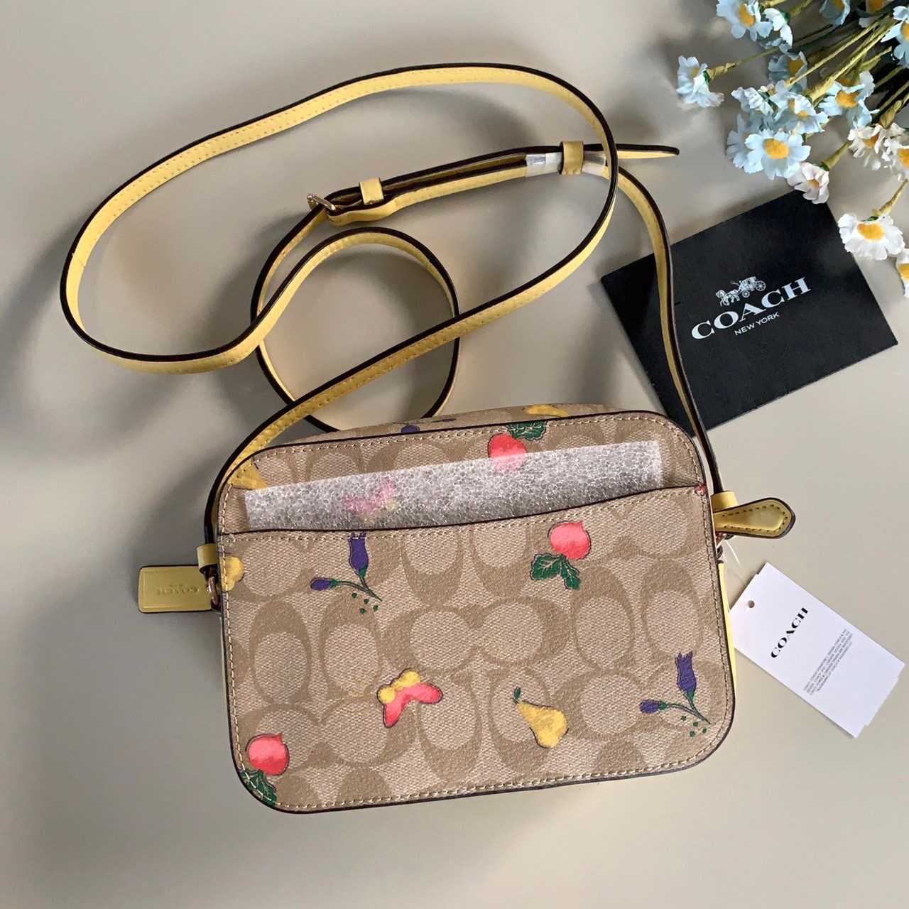 Mini Camera Bag In Signature Canvas With Dreamy Veggie Print  C8752