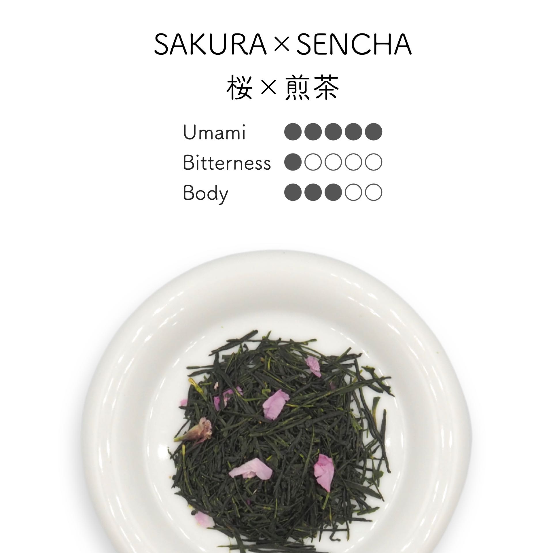 Sakura X Sencha ชาเขียว เซนฉะ ผสมดอกซะกุระ