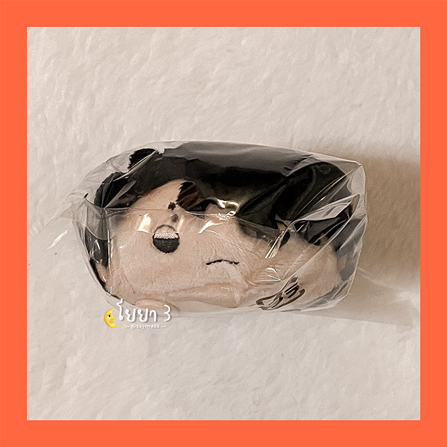 ꒰ พร้อมส่ง ꒱ ɴᴏʀᴜ วันเกิดซาคุสะ