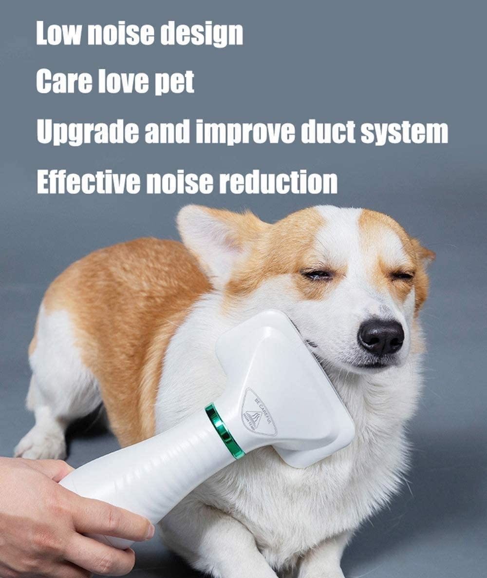 Pet Grooming Dryer หวีแปรงไดร์เป่าขนสัตว์เลี้ยง สุนัข แมว หลังการอาบน้ำขนฟูนุ่ม